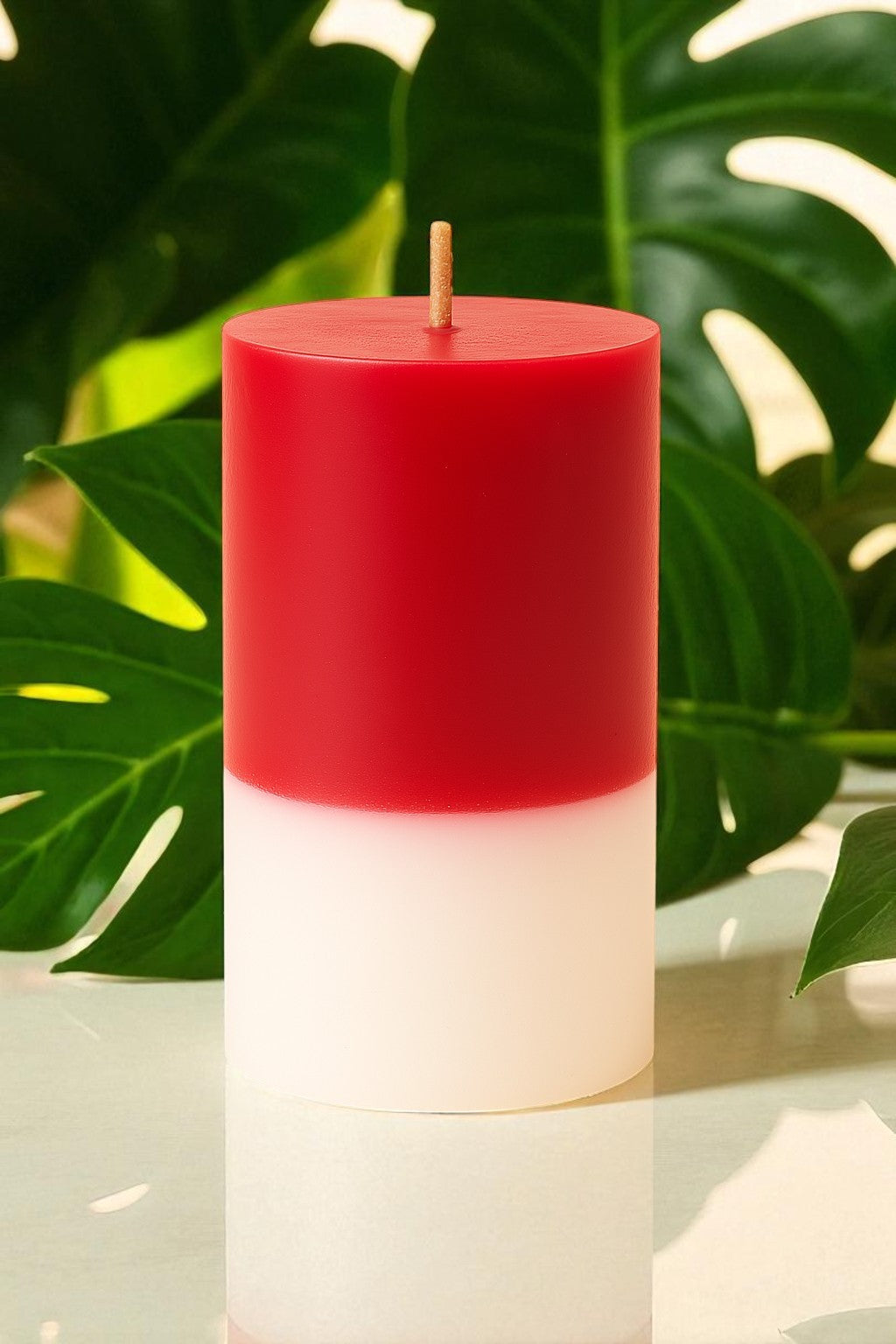 VELÓN RELACIÓN SENTIMENTAL (ROJO/BLANCO) – Amor Consciente y Comunicación